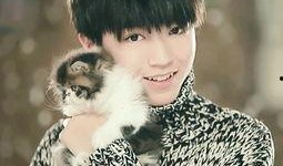 王俊凯知乎爆料视频下载