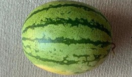 吃瓜全球最新爆料,吃瓜群众揭秘最新爆料风云